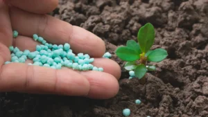 fertilizzante efficace naturale